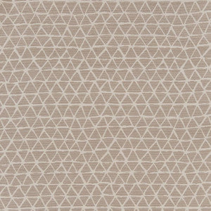CB800-227 by Charlotte Designer Fabric