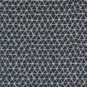CB800-228 by Charlotte Designer Fabric