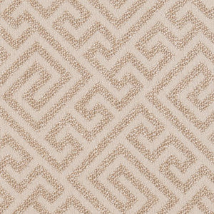 CB800-229 by Charlotte Designer Fabric