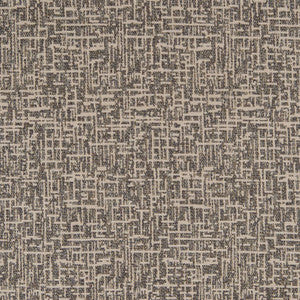 CB800-253 by Charlotte Designer Fabric