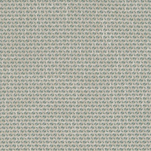CB800-258 by Charlotte Designer Fabric