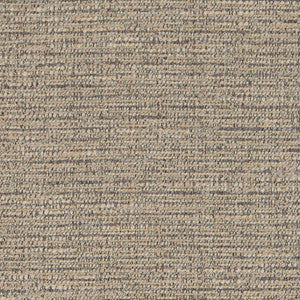 CB800-261 by Charlotte Designer Fabric