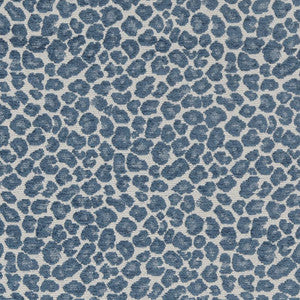 CB800-262 by Charlotte Designer Fabric