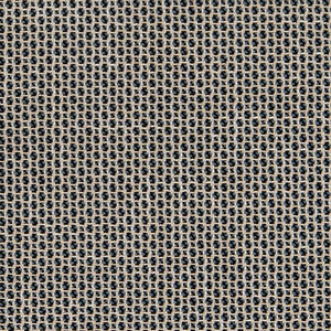 CB800-264 by Charlotte Designer Fabric