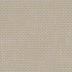 CB800-268 by Charlotte Designer Fabric