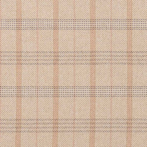 CB800-328 by Charlotte Designer Fabric
