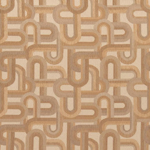 CB800-334 by Charlotte Designer Fabric