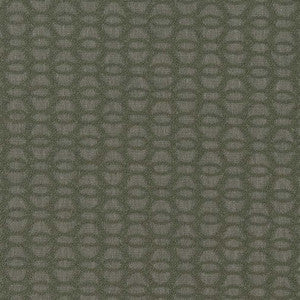 CB800-366 by Charlotte Designer Fabric