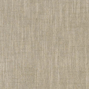 CB800-374 by Charlotte Designer Fabric