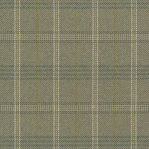 CB800-378 by Charlotte Designer Fabric