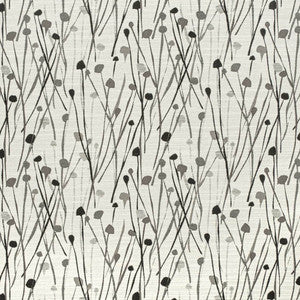 CB800-423 by Charlotte Designer Fabric