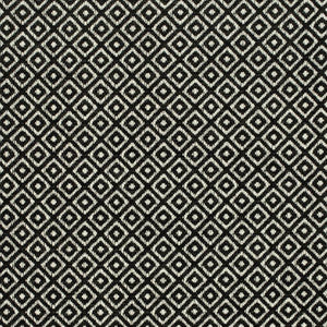 CB800-424 by Charlotte Designer Fabric