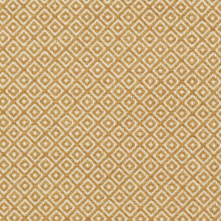 CB800-442 by Charlotte Designer Fabric Shades of Honey 100% Polyester Asia Exceeds 60,000 Wyzenbeek Rubs (Heavy Duty) Horizontal 1" x Vertical 1" 54 Inches - Swanky Fabrics -