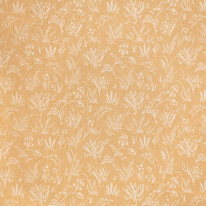CB800-451 by Charlotte Designer Fabric Shades of Honey 66% Polyester, 29% Cotton, 5% Linen India Exceeds 80,000 Wyzenbeek Rubs (Heavy Duty) Horizontal 13.5" x Vertical 13.5" 54 Inches - Swanky Fabrics -
