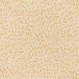 CB800-452 by Charlotte Designer Fabric