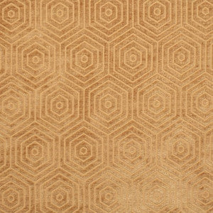 CB800-456 by Charlotte Designer Fabric
