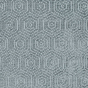 CB800-471 by Charlotte Designer Fabric