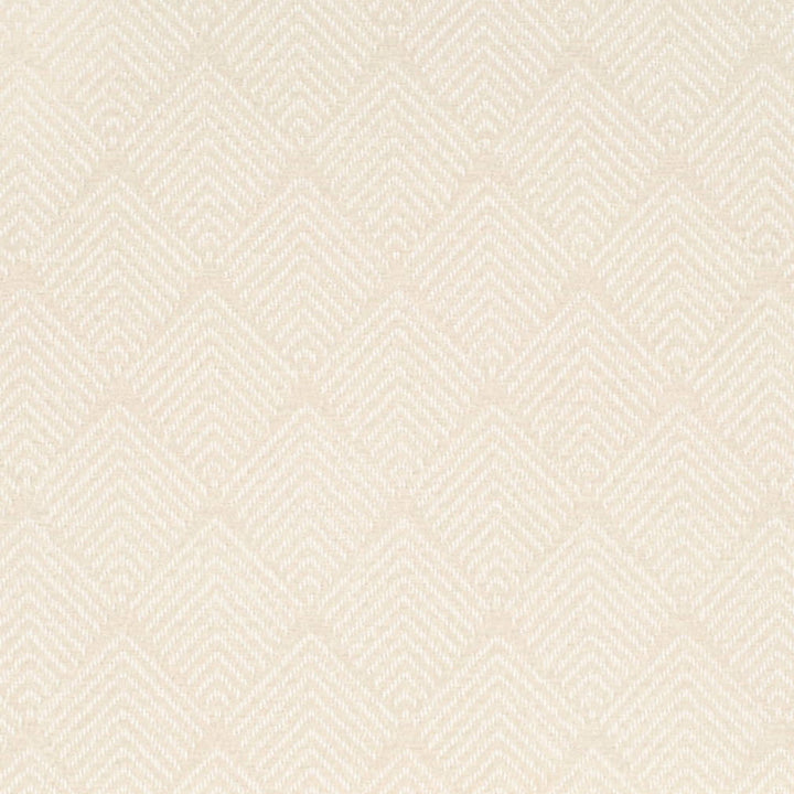 V899 Pebble by Charlotte Designer Fabric Leather Looks 100% Polyester Asia Exceeds 100,000 Wyzenbeek Rubs (Heavy Duty) No Repeat 54 Inches - Swanky Fabrics -