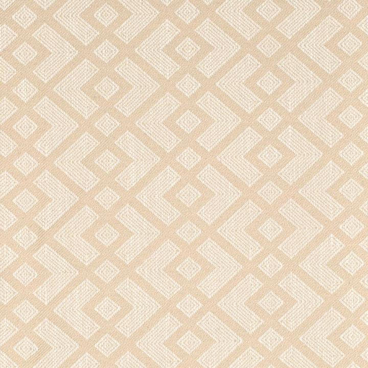 V901 Bone by Charlotte Designer Fabric Leather Looks 72% Polyester, 24% Cotton, 4% Rayon Asia Exceeds 100,000 Wyzenbeek Rubs (Heavy Duty) No Repeat 54 Inches - Swanky Fabrics -