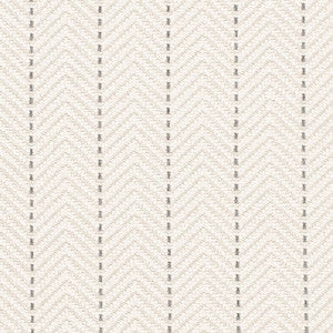 CB800-486 by Charlotte Designer Fabric
