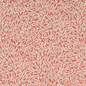 CB800-504 by Charlotte Designer Fabric
