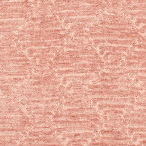 CB800-519 by Charlotte Designer Fabric