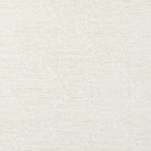 CB800-527 by Charlotte Designer Fabric