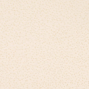 CB800-529 by Charlotte Designer Fabric