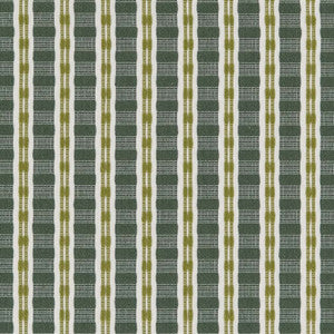 CB900-102 by Charlotte Designer Fabric