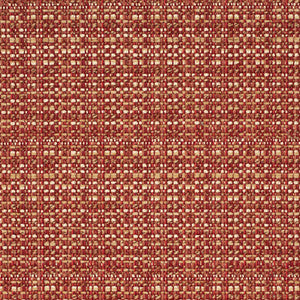 CB900-114 by Charlotte Designer Fabric