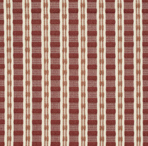 CB900-116 by Charlotte Designer Fabric