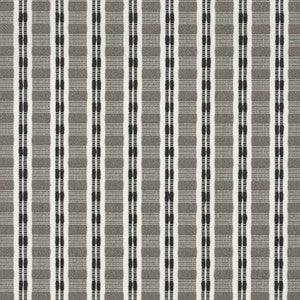 CB900-117 by Charlotte Designer Fabric