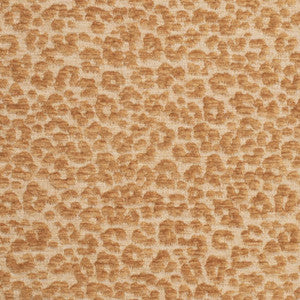 CB900-145 by Charlotte Designer Fabric