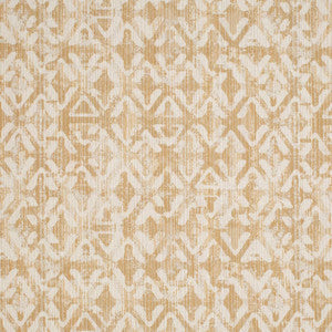 CB900-146 by Charlotte Designer Fabric