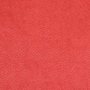 CB900-14 by Charlotte Designer Fabric