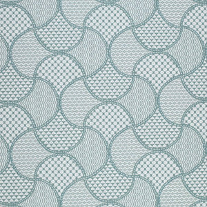CB900-164 by Charlotte Designer Fabric