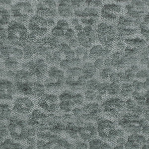CB900-165 by Charlotte Designer Fabric