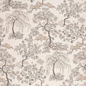 CB900-171 by Charlotte Designer Fabric