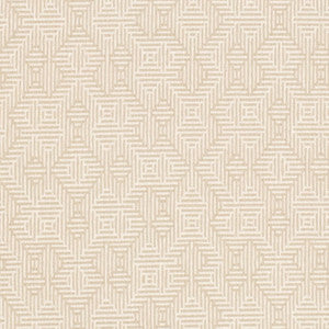 CB900-177 by Charlotte Designer Fabric