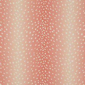 CB900-203 by Charlotte Designer Fabric