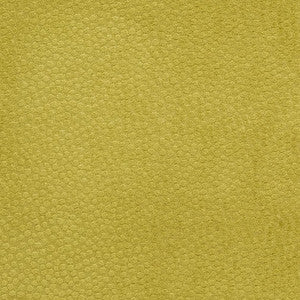 CB900-22 by Charlotte Designer Fabric