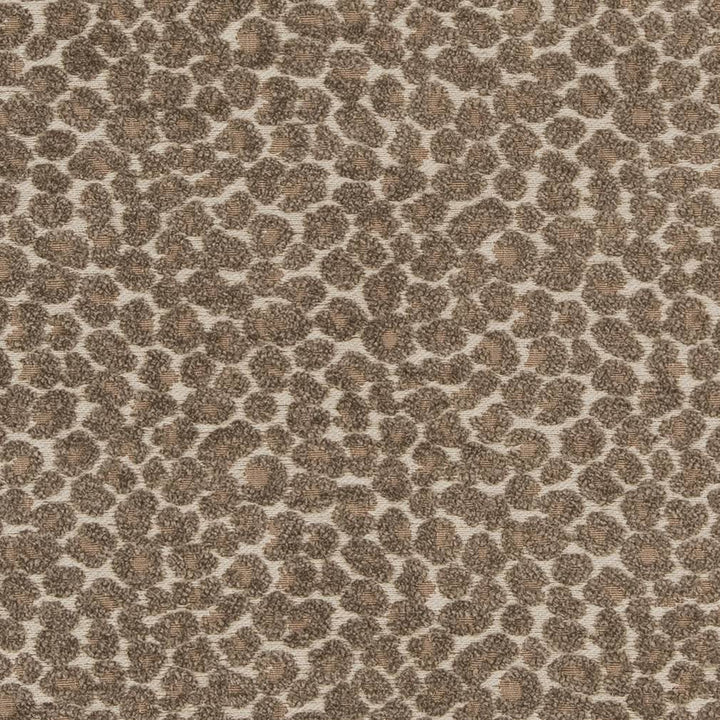 CB900-34 by Charlotte Designer Fabric Shades of Neutral 78% Polyester, 22% Cotton China Exceeds 120,000 Wyzenbeek Rubs (Heavy Duty) No Repeat 54 Inches - Swanky Fabrics -