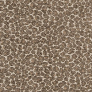 CB900-34 by Charlotte Designer Fabric