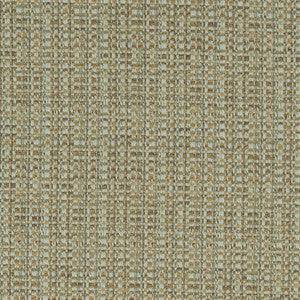 CB900-42 by Charlotte Designer Fabric