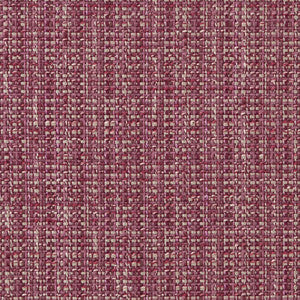 CB900-45 by Charlotte Designer Fabric