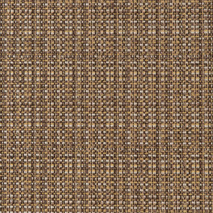 CB900-55 by Charlotte Designer Fabric