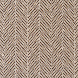 CB900-61 by Charlotte Designer Fabric