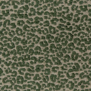 CB900-99 by Charlotte Designer Fabric