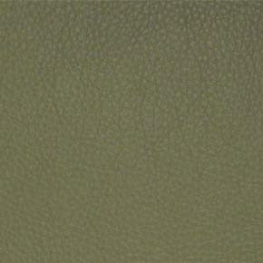 Classic(Contract Vinyl) # 036 Sage by Maxwell Designer Fabric