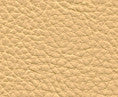 Classic(Contract Vinyl) # 102 Chamois by Maxwell Designer Fabric
